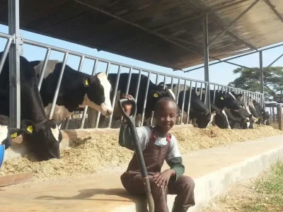 Bles Dairies EA main